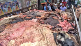 ২ লাখের গরুর চামড়ার দাম ৫০০