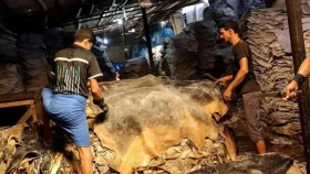 দেশে যে কারণে কমছে চামড়ার দাম