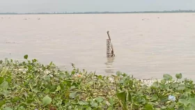 দ্রুত বাড়ছে যমুনার পানি, বন্যার আশঙ্কা
