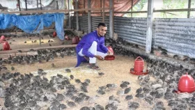 সরকারি চাকরি ছেড়ে কোটি টাকার পাখির খামার