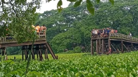 তৈরির পাঁচ বছরের মাথায় সেতুর মাঝের বিম ভেঙে যায়