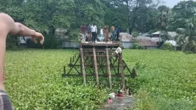 বৌভাতে যাওয়ার সময় সেতু ভেঙে মাইক্রোবাস খালে, নিহত ৯