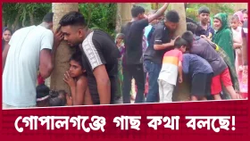 গাছ কথা বলছে, সালামের জবাব-প্রশ্নের উত্তর দিচ্ছে!
