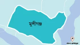 বিএনপি কর্মীকে কুপিয়েছে আ. লীগ নেতা 