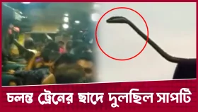 চলন্ত ট্রেনের ছাদে সাপ, যাত্রীদের মধ্যে আতঙ্ক!