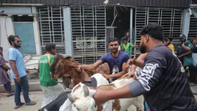 উচ্ছেদের সময় সরিয়ে ফেলা হয়েছে ১৫ লাখ টাকার সেই ছাগল