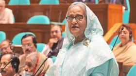 বাজেট বাস্তবায়নের সক্ষমতা সরকারের আছে: প্রধানমন্ত্রী
