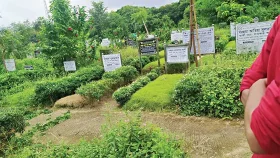 &lsquo;প্রতিটি উপজেলায় একটি করে বড় কবরস্থান নির্মাণ করবে সরকার&rsquo;