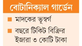 গবেষণা নেই আছে অশ্লীলতা