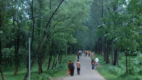 'সারা দিন পোলা-মাইয়ারা আসে, বাজে কাম করে ট্যাহা দিয়া'