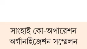 খুঁটি শক্ত করছে চীন-রাশিয়া!