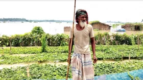 যমুনার পানিতে ভাসছে কৃষকের স্বপ্ন, তলিয়ে গেছে ১০০০ হেক্টর জমির ফসল