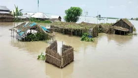 টাঙ্গাইলে পানিবন্দি ৩০ হাজার মানুষ, পোকামাকড়ের আতঙ্ক