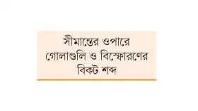মিয়ানমার থেকে পালিয়ে এলো ১৩৯ বিজিপি সদস্য