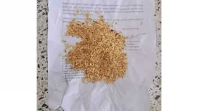 হল ছাড়ার নোটিশে চালভাজা খেলেন বরিশাল বিশ্ববিদ্যালয় ছাত্রীরা