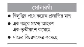 দখল-দূষণে মেঘনায় কমছে মাছ, পেশা ছাড়ছেন জেলেরা