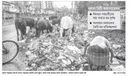 নগরীর সড়কে বিকেল পর্যন্ত পড়ে থাকে আবর্জনার স্তূপ