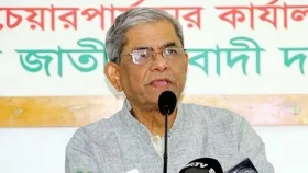 সরকারকে পদত্যাগের বার্তা দিয়েছে জনগণ: মির্জা ফখরুল