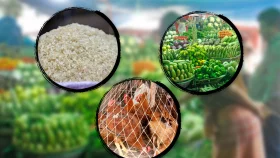 কিছুটা বেড়েছে ব্রয়লার মুরগির দাম, কমেছে সবজির