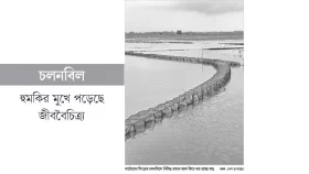 নিষিদ্ধ চায়না জালে মরছে পোনা