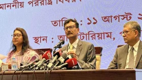 নির্বাচ&zwnj;নের মাধ&zwnj;্যমে এ সরকার স&zwnj;রে যা&zwnj;বে: পররাষ্ট্র উপ&zwnj;দেষ্টা