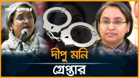 সাবেক মন্ত্রী দীপু মনি গ্রেপ্তার
