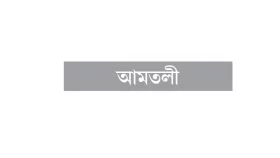 ৯ বছরেই মুক্তিযোদ্ধা!