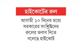 পঞ্চদশ সংশোধনী সংবিধানের সঙ্গে কেন সাংঘর্ষিক নয়