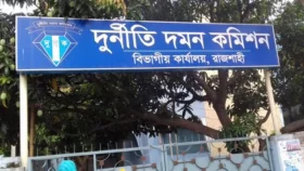 পদোন্নতি পেয়ে পরিচালক হলেন দুদকের ৯ কর্মকর্তা
