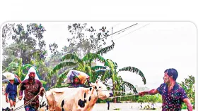 হঠাৎ হওয়ায় ছিল না পর্যাপ্ত প্রস্তুতি