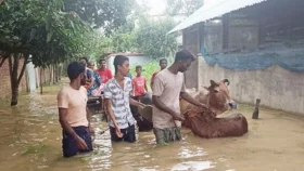 &lsquo;যেকোনো মূল্যে আমার স্বপ্নকে বাঁচাতে হবে&rsquo;