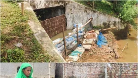 বগুড়ায় কালভার্টের মুখবন্ধ, পানিবন্দি ৯ গ্রামের মানুষ