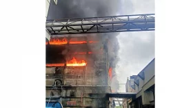 কারখানায় লুটপাট করতে যাওয়াই কাল হলো অনেকের