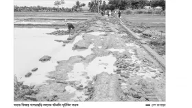 ঘুরে দাঁড়াতে পারেনি ক্ষতিগ্রস্ত পরিবারগুলো
