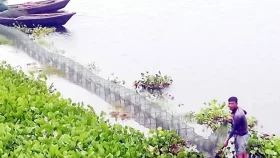 নিষিদ্ধ জালে হুমকির মুখে মৎস্যসম্পদ