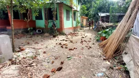 ফরিদপুরে গাছ কাটা নিয়ে &zwnj;দুপক্ষের সংঘর্ষে আহত ২০