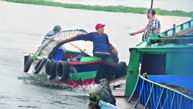 মেঘনায় নৌযানে অবাধে চলছে চাঁদাবাজি