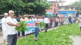 চা চাষীদের ৮ দফা দাবি, কাঁচা চা পাতা ফেলে প্রতিবাদ