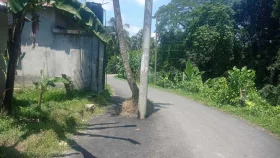 সড়কের মাঝে বৈদ্যুতিক খুঁটি-নারিকেল গাছ রেখেই সংস্কার