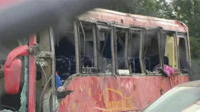 যুক্তরাষ্ট্রে বাস উল্টে ভাই-বোনসহ নিহত ৭