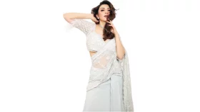 হানসিকার যত বিতর্ক