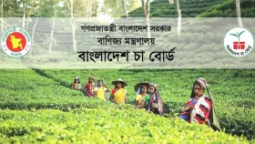 ৪৮ জনকে নিয়োগ দেবে বাংলাদেশ চা বোর্ড