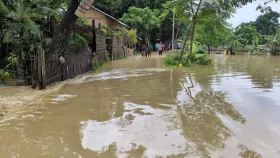 বন্যায় ক্ষতিগ্রস্ত ৫০ লাখ মানুষ, মৃত ৭১