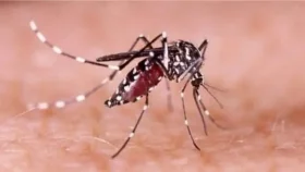 খুমেক হাসপাতালে আরও এক ডেঙ্গু রোগীর মৃত্যু