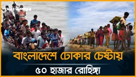 ৩০ হাজার টাকায় দালালের মাধ্যমে ঢুকছে রোহিঙ্গারা