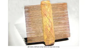 রক্তচোষা মাথার পোকা