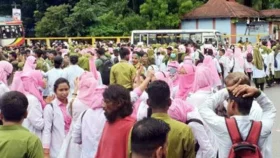 পদত্যাগ করলেন নার্সের পরিচালক, এবার ডিজির পালা
