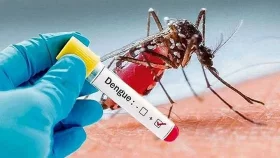 ডেঙ্গুতে একদিনে ৩ মৃত্যু, হাসপাতালে ১০৩৯
