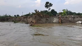 জাজিরায় পদ্মার ভাঙনে দিশেহারা এলাকাবাসী&nbsp;