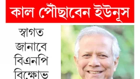 এবার নিউ ইয়র্কে দেখা যাবে অন্য ছবি